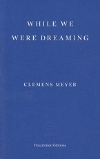 While We Were Dreaming by Clemens Meyer